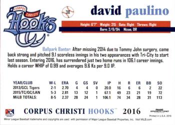2016 Grandstand Corpus Christi Hooks #20 David Paulino Back