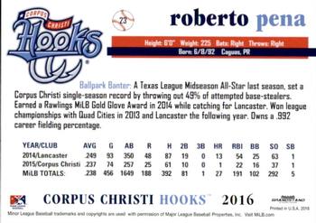 2016 Grandstand Corpus Christi Hooks #21 Roberto Pena Back