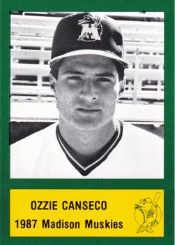 1987 Madison Muskies  #3 Ozzie Canseco Front