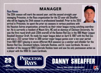 2014 Grandstand Princeton Rays #NNO Danny Sheaffer Back