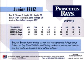 2015 Grandstand Princeton Rays #NNO Junior Feliz Back