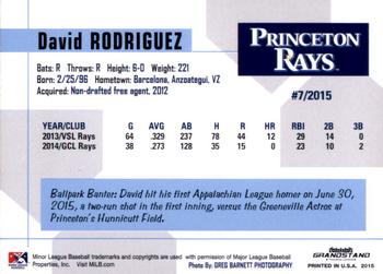 2015 Grandstand Princeton Rays #NNO David Rodriguez Back