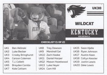 2018 Kentucky Wildcats #UK38 Wildcat Back