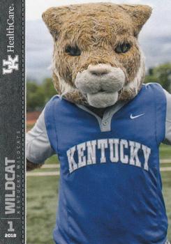 2018 Kentucky Wildcats #UK38 Wildcat Front