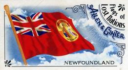 2018 Topps Allen & Ginter - Mini Flags of Lost Nations #FLN-19 Newfoundland Front