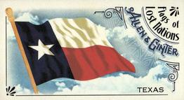 2018 Topps Allen & Ginter - Mini Flags of Lost Nations #FLN-22 Texas Front