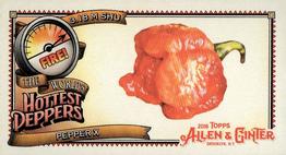 2018 Topps Allen & Ginter - Mini World's Hottest Peppers #WHP-1 Pepper X Front
