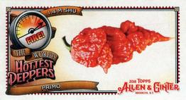 2018 Topps Allen & Ginter - Mini World's Hottest Peppers #WHP-5 Primo Front