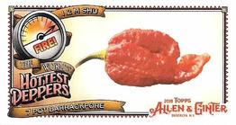 2018 Topps Allen & Ginter - Mini World's Hottest Peppers #WHP-12 7 Pot Barrackpore Front