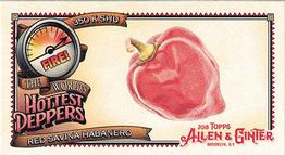 2018 Topps Allen & Ginter - Mini World's Hottest Peppers #WHP-13 Red Savina Habanero Front