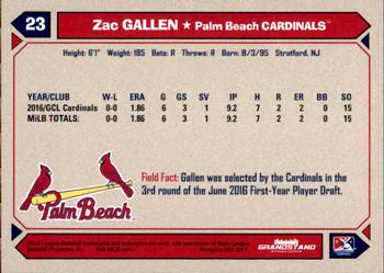 2017 Grandstand Palm Beach Cardinals #NNO Zac Gallen Back