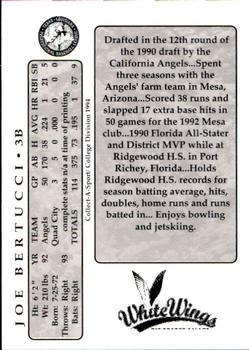 1994 Collect-A-Sport Rio Grande Valley WhiteWings #4 Joe Bertucci Back