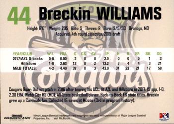 2018 Grandstand Kane County Cougars #31 Breckin Williams Back