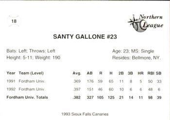 1993 Sioux Falls Canaries #18 Santy Gallone Back