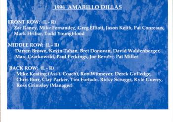 1994 Collect-A-Sport Amarillo Dillas #28 Team Photo Back