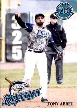 2017 Bridgeport Bluefish #2 Tony Abreu Front