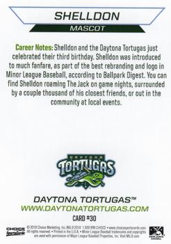 2018 Choice Daytona Tortugas #30 Shelldon Back