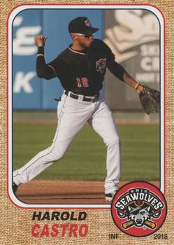 2018 Grandstand Erie SeaWolves #NNO Harold Castro Front