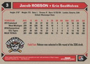 2018 Grandstand Erie SeaWolves #NNO Jacob Robson Back