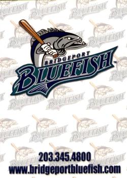 2004 Choice Bridgeport Bluefish #31 Team Logo Front