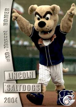 2004 Grandstand Lincoln Saltdogs #28 Homer Front