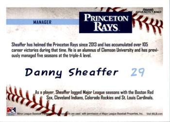2016 Grandstand Princeton Rays #31 Danny Sheaffer Back