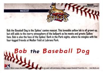 2016 Grandstand State College Spikes #40 Bob the Baseball Dog Back