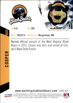 2016 Choice West Virginia Black Bears #37 Cooper Back