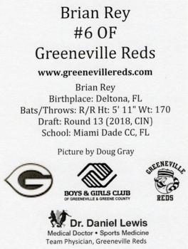 2018 Greeneville Reds #NNO Brian Rey Back