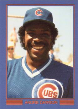 1989 Windy City Superstars 1989 Champs (unlicensed) #5 Andre Dawson Front