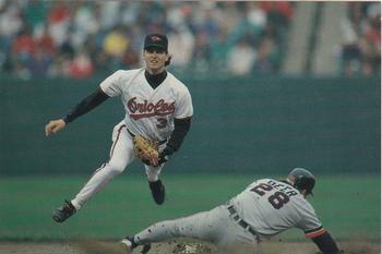 1992 Baltimore Orioles Photocards #NNO Bill Ripken Front