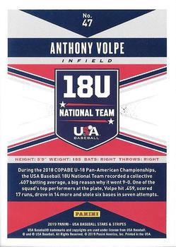 2019 Panini USA Baseball Stars & Stripes - Base Longevity Team Logo Gold #47 Anthony Volpe Back