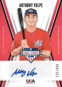 2019 Panini USA Baseball Stars & Stripes - 17U National Team Signatures #17U-AV Anthony Volpe Front
