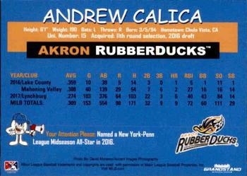 2018 Grandstand Akron RubberDucks #NNO Andrew Calica Back