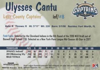 2018 Grandstand Lake County Captains #NNO Ulysses Cantu Back