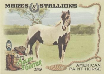 2019 Topps Allen & Ginter - Mares & Stallions #MS-6 American Paint Horse Front