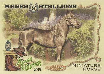 2019 Topps Allen & Ginter - Mares & Stallions #MS-8 Miniature Horse Front