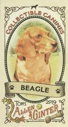 2019 Topps Allen & Ginter - Collectible Canines Minis #CC-1 Beagle Front