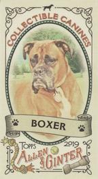 2019 Topps Allen & Ginter - Collectible Canines Minis #CC-2 Boxer Front