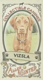 2019 Topps Allen & Ginter - Collectible Canines Minis #CC-3 Vizsla Front