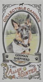 2019 Topps Allen & Ginter - Collectible Canines Minis #CC-4 German Shepherd Front