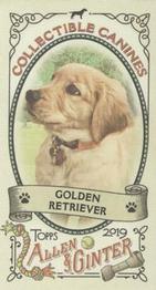 2019 Topps Allen & Ginter - Collectible Canines Minis #CC-6 Golden Retriever Front