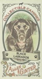 2019 Topps Allen & Ginter - Collectible Canines Minis #CC-10 Black Labrador Front