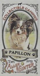 2019 Topps Allen & Ginter - Collectible Canines Minis #CC-14 Papillon Front