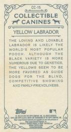 2019 Topps Allen & Ginter - Collectible Canines Minis #CC-15 Yellow Labrador Back