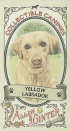 2019 Topps Allen & Ginter - Collectible Canines Minis #CC-15 Yellow Labrador Front