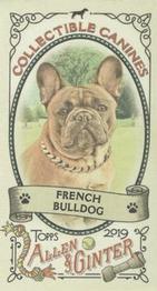 2019 Topps Allen & Ginter - Collectible Canines Minis #CC-17 French Bulldog Front