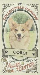 2019 Topps Allen & Ginter - Collectible Canines Minis #CC-19 Corgi Front