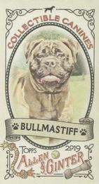 2019 Topps Allen & Ginter - Collectible Canines Minis #CC-20 Bullmastiff Front