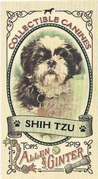 2019 Topps Allen & Ginter - Collectible Canines Minis #CC-22 Shih Tzu Front